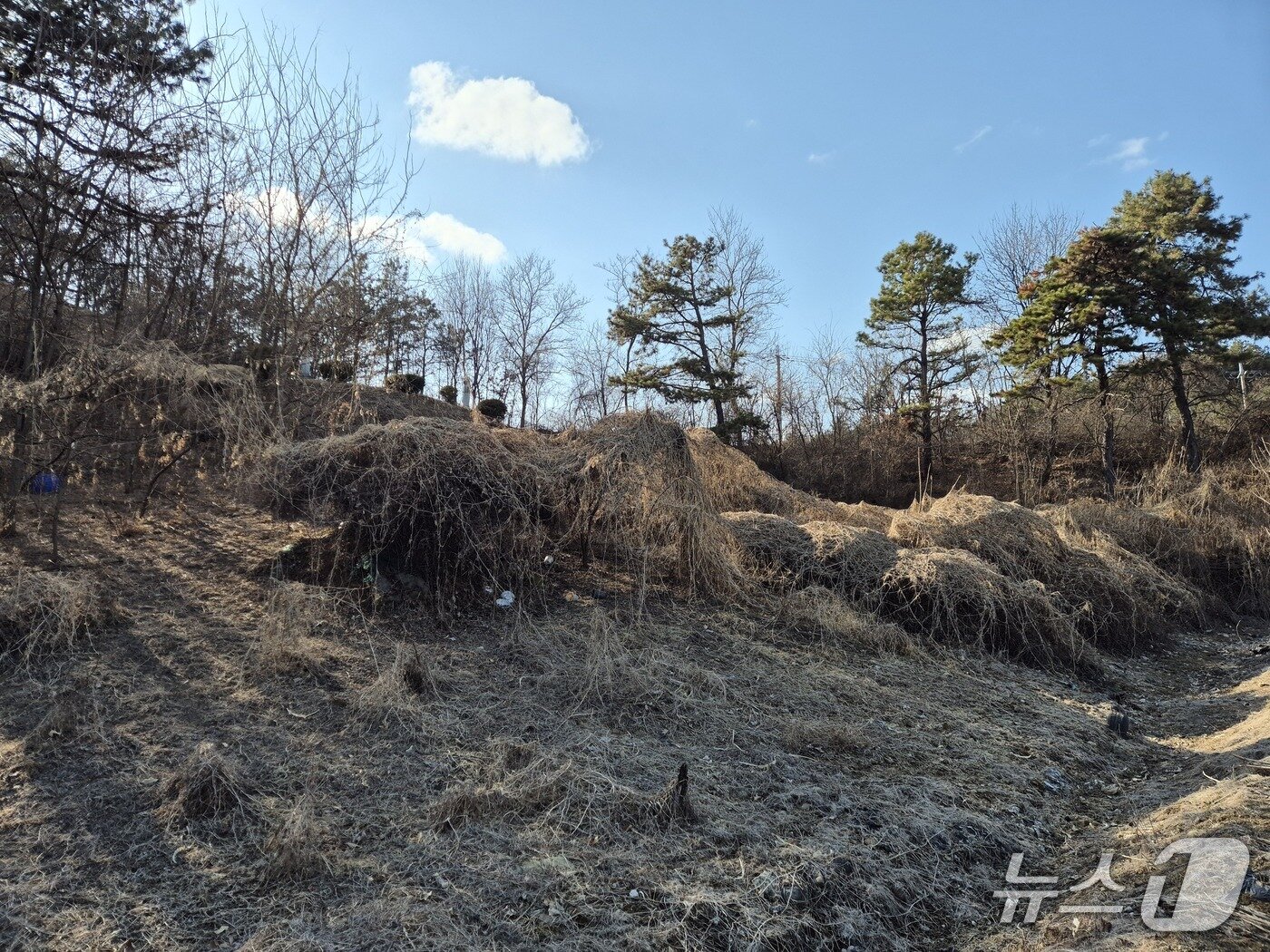 본문 이미지 - 7일 찾은 경기 양평군 용문면 광탄리 소재 이한주 경제·인문사회연구회 이사장(대통령 정책특별보좌관)의 땅.2026.02.27/뉴스1 양희문 기자 