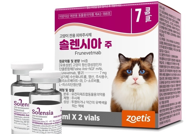 "월1회 피하주사"…고양이 골관절염 통증 관리 '솔렌시아' 출시