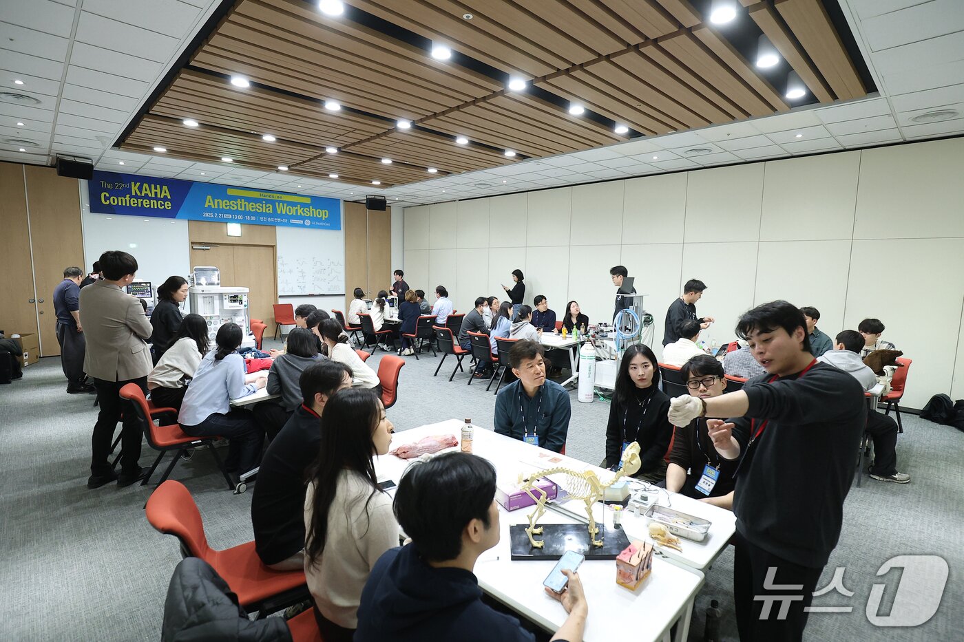 본문 이미지 - 2026 카하 컨퍼런스 실습 강의(한국동물병원협회 제공) ⓒ 뉴스1