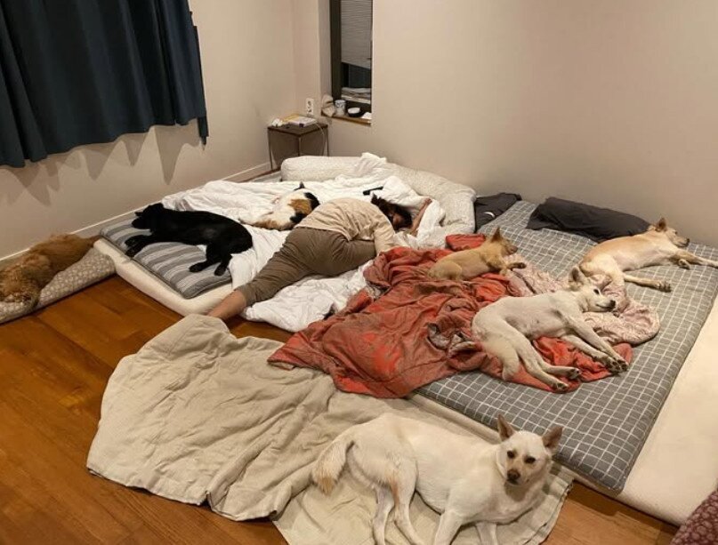 본문 이미지 - 이효리 인스타그램