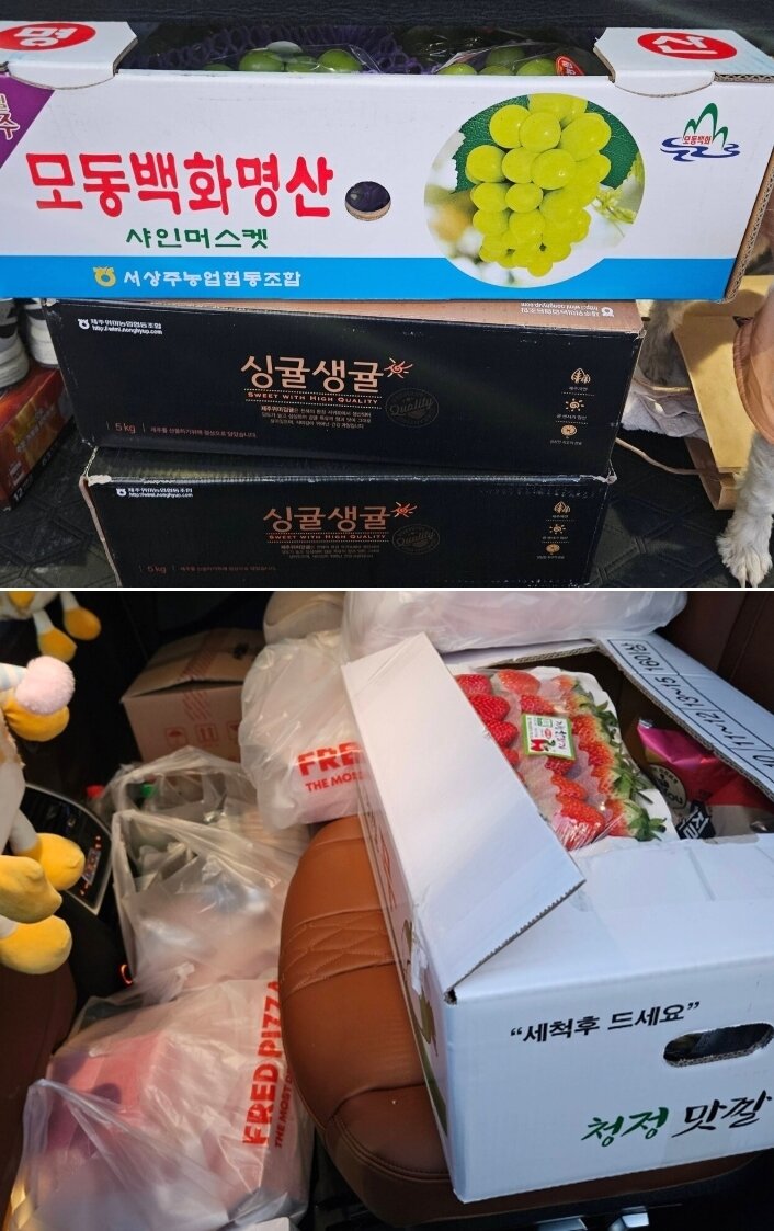 본문 이미지 - 블라인드