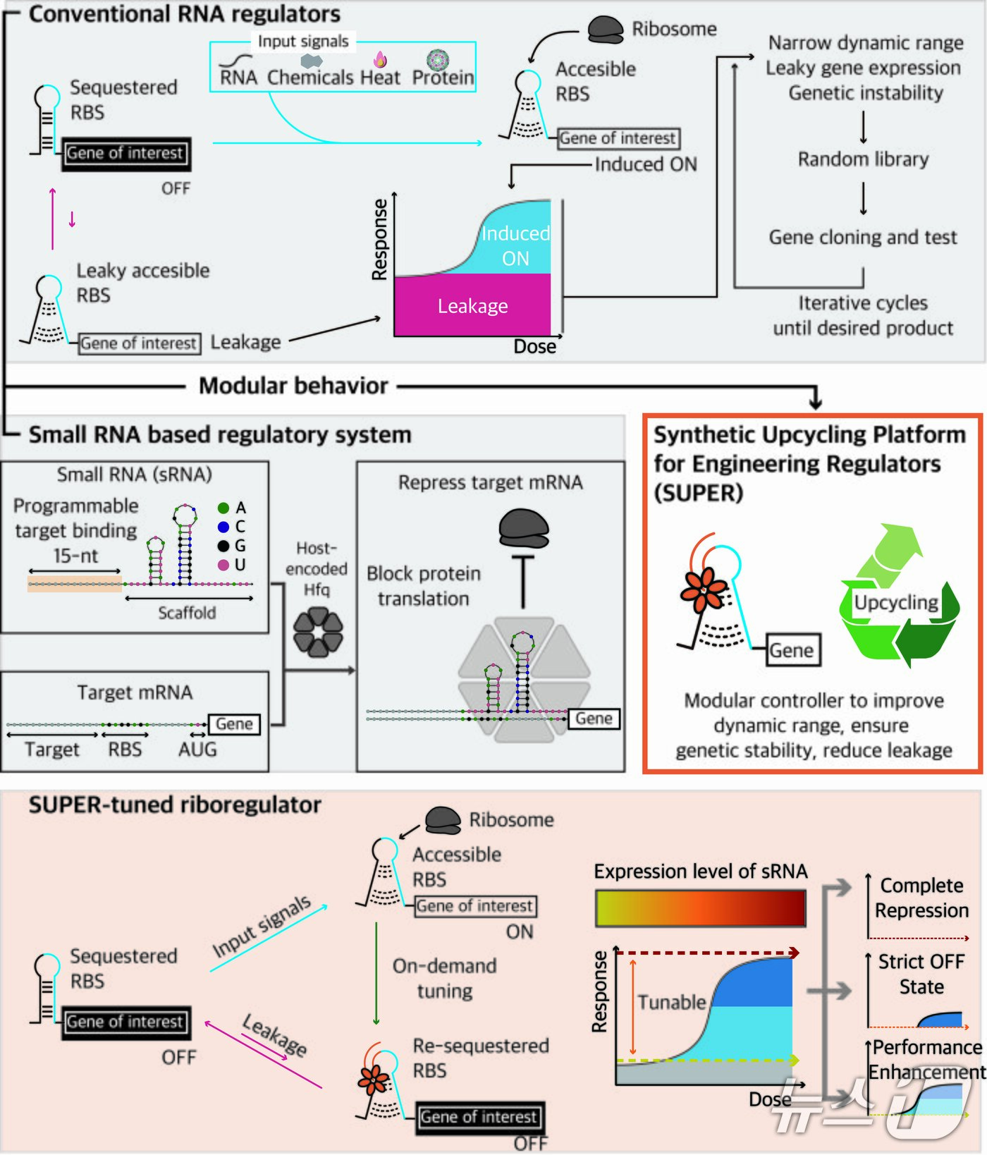 본문 이미지 - 포스텍 김종민 교수 연구 이미지. (포스텍 제공, 재판매 및 DB금지) 2026.2.3/뉴스1 