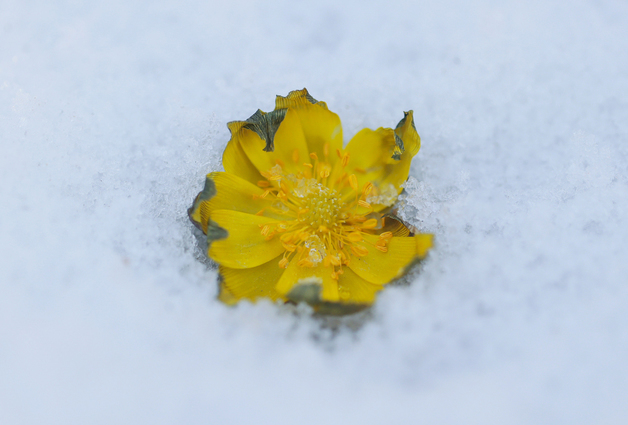 내일 아침 대부분 영상권 '포근'…늦은 밤 찬공기·미세먼지 습격