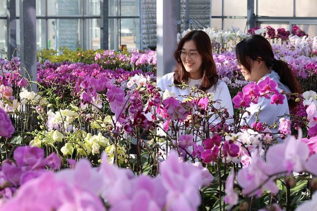 [오늘의 날씨]전북(21일, 토)…낮 최고 19도, 오후 강한 바람