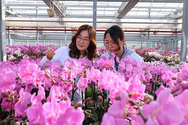 [오늘의 날씨] 전북(10일, 화)…흐리고 오전 비 또는 눈