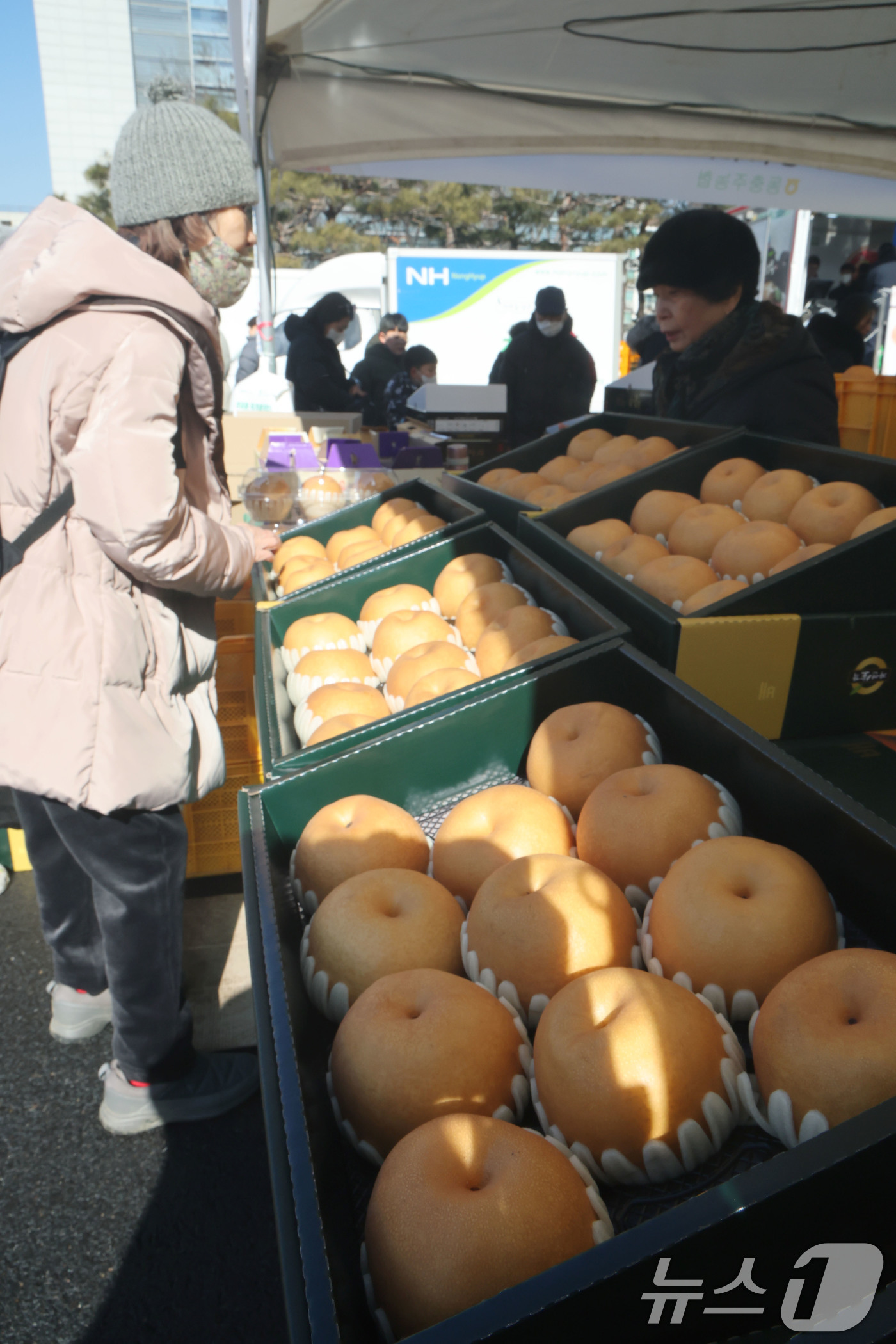 (서울=뉴스1) 이광호 기자 = 3일 서울 강남구청에서 열린 2026 강남구 설맞이 직거래장터를 찾은 구민들이 상품을 구매하고 있다.이번 직거래 장터는 전국 40여 개 지자체와 8 …