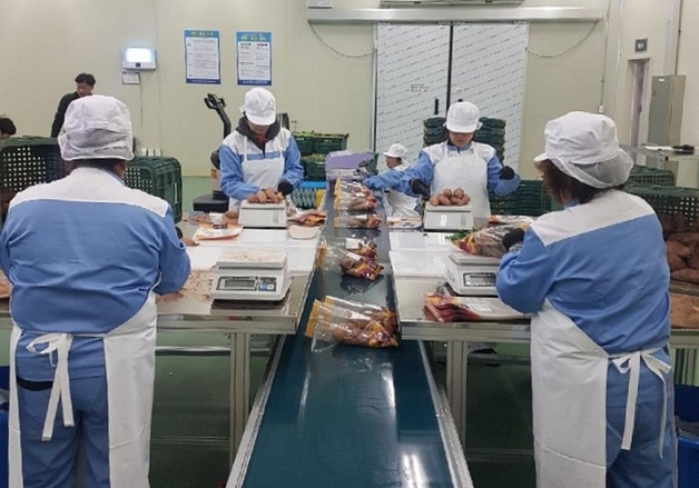 전남 친환경농산물, 경기도 학교급식에 공급…3개사 선정