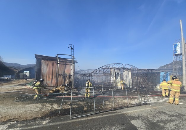 장흥 오리농장 화재로 9000마리 폐사…열풍기 과열 추정