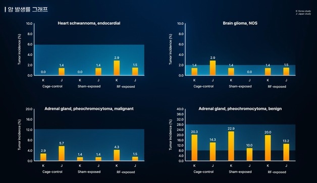 "휴대폰 전자파, 발암 연관성 없어"…한·일 공동 검증