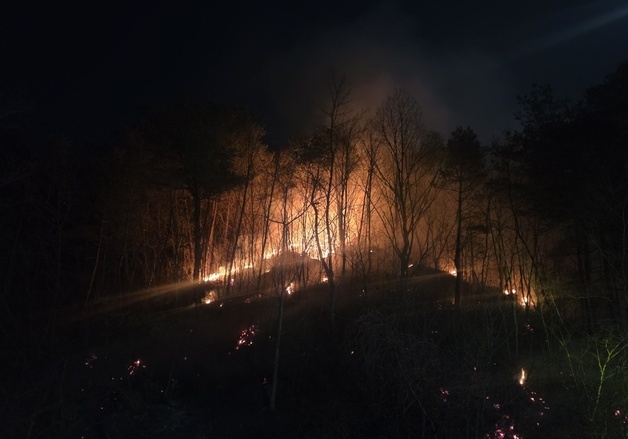 "건조경보만 13일째"…동해안 '마른 겨울'에 산불 위험 최고조