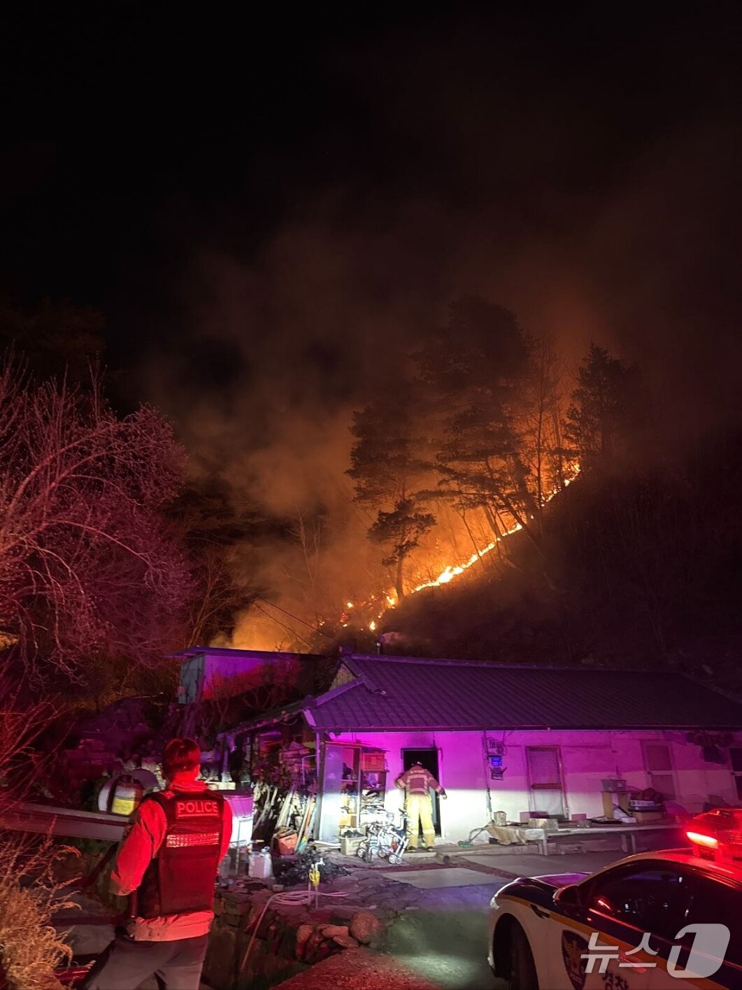 본문 이미지 - 지난 1일 오후 강원 동해시 달방동 산불 현장.(강원도 산불방지대책본부 제공, 재판매 및 DB 금지)