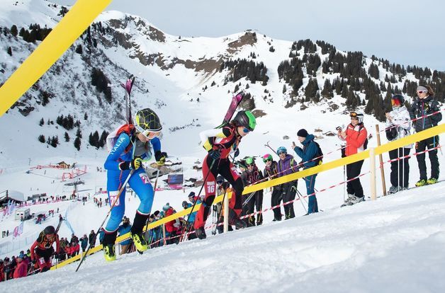 [밀라노 확대경]⑩'3분 승부' 산악스키…'설원 마라톤' 크로스컨트리