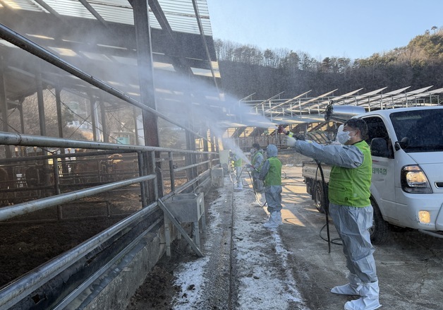 농협 강원본부, 동절기 가축 질병 차단 방역 총력