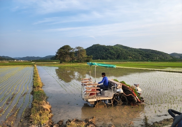"200평 모내기 4만원"…구미시 영농대행단, 1개→4개단 확대