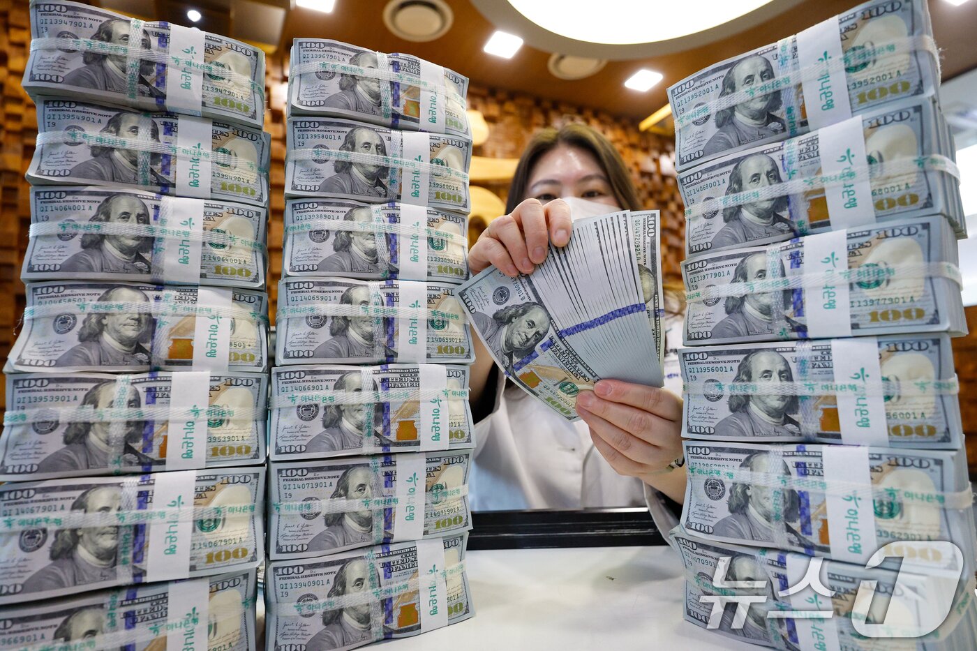 본문 이미지 - 서울 중구 하나은행 위변조대응센터에서 직원이 달러화를 정리하고 있다.ⓒ 뉴스1 안은나 기자