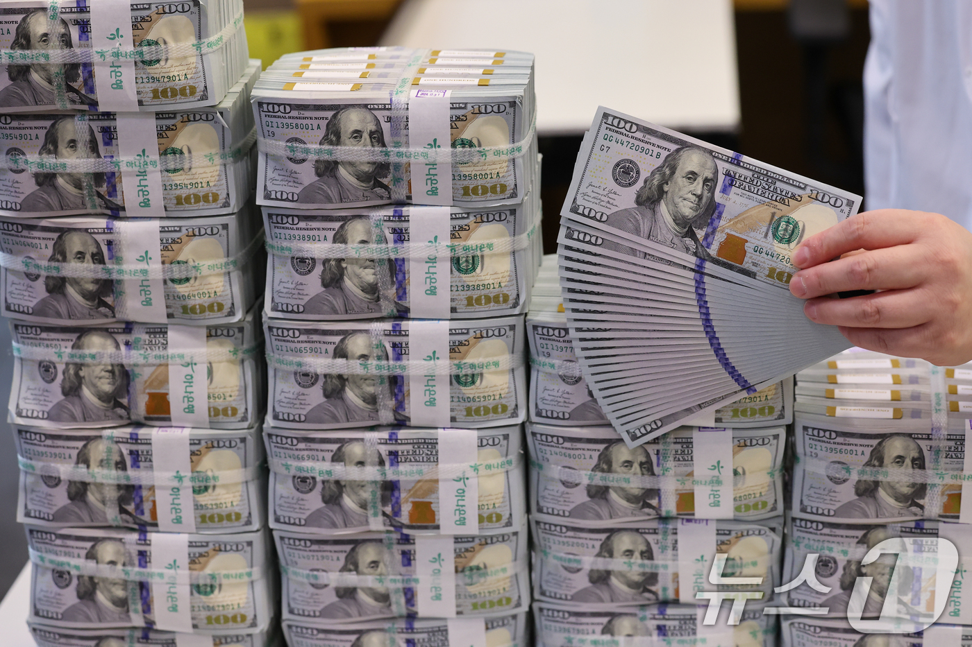 (서울=뉴스1) 안은나 기자 = 4일 서울 중구 하나은행 위변조대응센터에서 직원이 달러화를 정리하고 있다.한국은행에 따르면 고환율 국면에서 외환시장 안정을 위한 달러 공급이 이어지 …