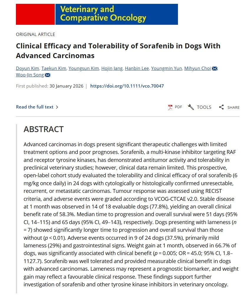 본문 이미지 - 반려견의 진행성 암종을 대상으로 한 표적항암제 '소라페닙(Sorafenib)' 치료 결과 논문 일부 발췌(본동물의료센터 제공) ⓒ 뉴스1