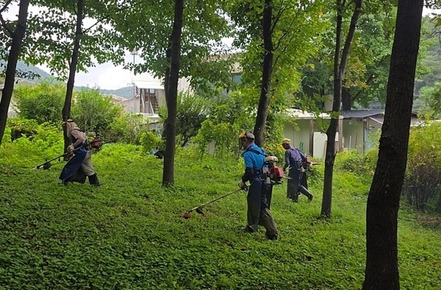 "우리 손으로 가꿔요!"…한강청, 수변녹지 관리 참여 마을 공모