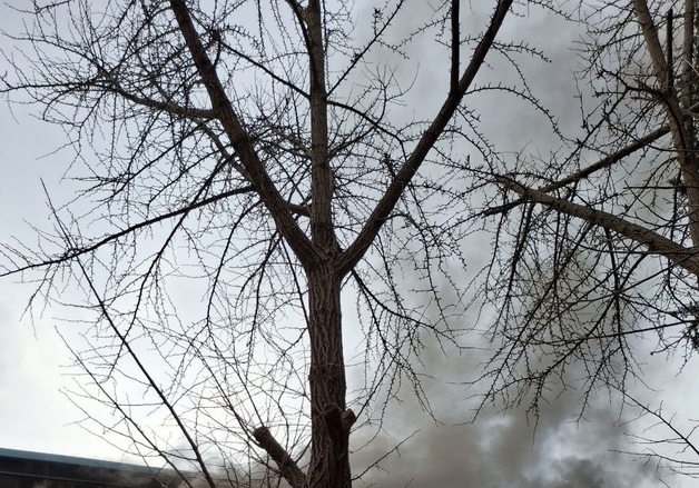 수원 동원냉장 창고 화재 10여분 만에 초진…10명 대피