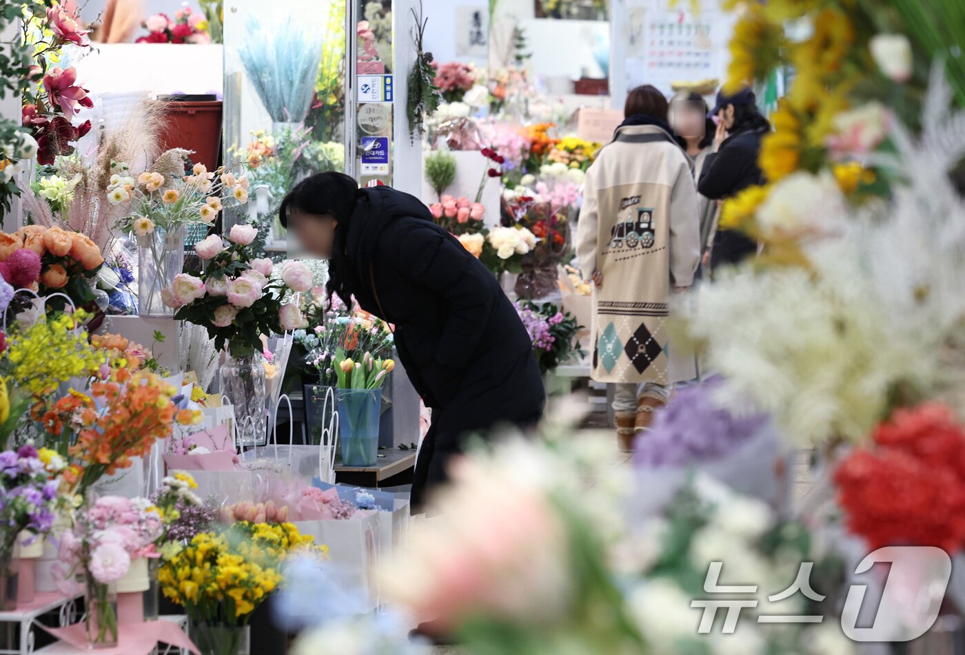 본문 이미지 - 절기상 입춘(立春)인 4일 서울 서초구 양재꽃시장을 찾은 시민들이 꽃을 사고 있다. ⓒ News1 구윤성 기자