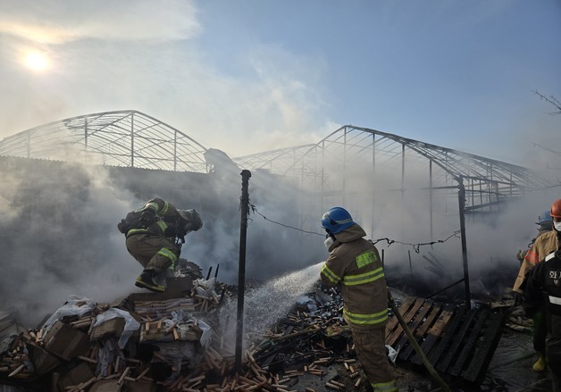 부산 강동동 비닐하우스 불…불 끄려던 70대 남성 숨져