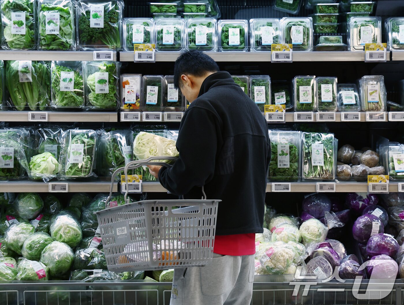 본문 이미지 - 고물가와 이상기후 영향으로 채소 가격 변동이 커지면서 냉동채소에 대한 수요가 늘고 있다.  2월 4일 서울 시내 대형마트에서 시민이 채소를 고르는 모습. 2026.2.4 ⓒ 뉴스1 김민지 기자