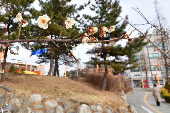 연휴 셋째 날 최저 '영하 6도' 쌀쌀, 낮부터 포근…동해안 비·눈[오늘날씨]