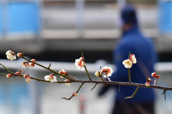 온화한 '입춘'…광주·전남 17일 만에 낮 기온 10도 회복