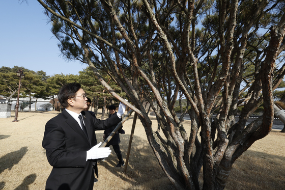 "5.18기념식수 잘컸네"