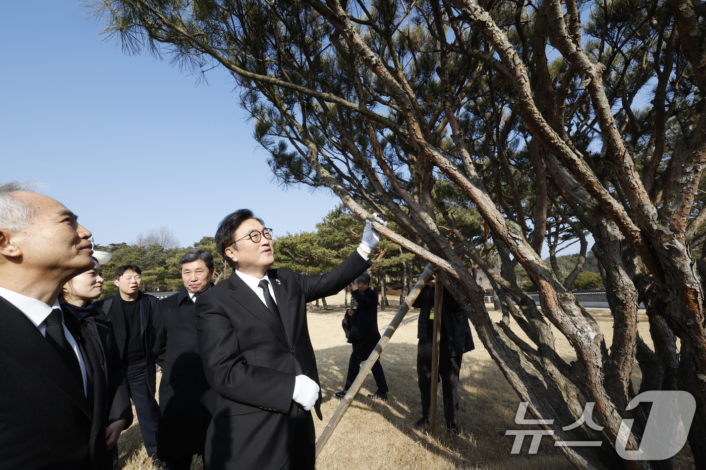 (광주=뉴스1) 김태성 기자 = 우원식 국회의장이 4일 광주 국립5.18민주묘역을 참배한후 2년전 5월에 기념식수했던 나무를 살피고 있다. 2026.2.4/뉴스1