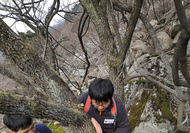 "산양, 경북 포항까지 서식" 밝힌 논문, 국제학술지 오릭스 게재