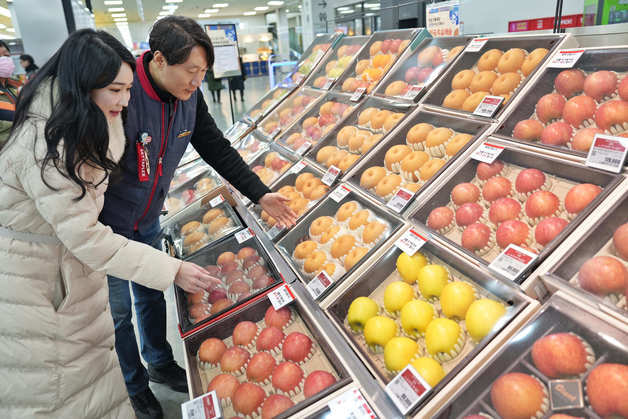 "고물가에 가성비"…롯데마트, 7일부터 설 선물세트 본 판매 시작