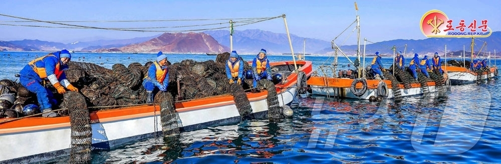 (평양 노동신문=뉴스1) = 북한 노동당 기관지 노동신문은 5일 신포시바닷가양식장이 '선진적인 양식업의 새로운 표본기지'가 됐다며, 이곳에서 여러 해산물이 대량 수확되고 있다고 선 …