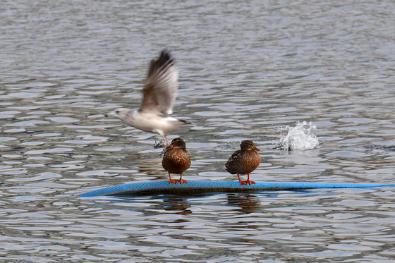 [오늘의 날씨] 대구·경북(18일, 수)…미세먼지 '보통', 낮 7~11도