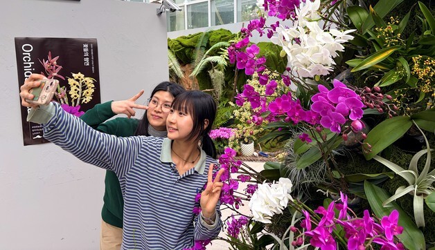 국립세종수목원 4월5일까지 '난초 축제, 꽃들의 향연'