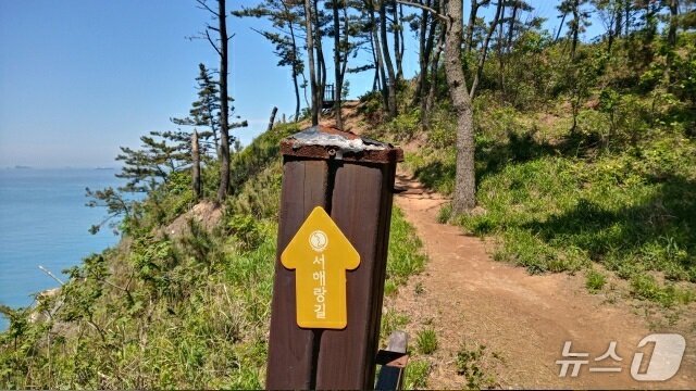 본문 이미지 - 서해랑길 모습(태안군 제공. 재판매 및 DB금지)2026.2.5/뉴스1