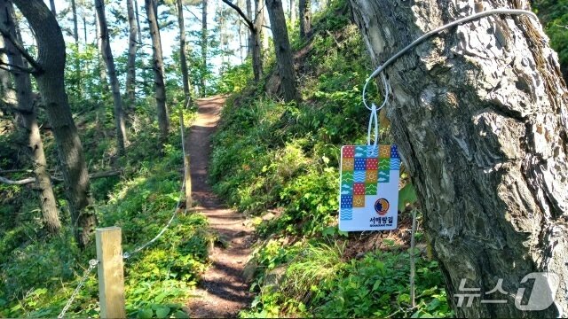 본문 이미지 - 서해랑길 모습(태안군 제공. 재판매 및 DB금지)2026.2.5/뉴스1