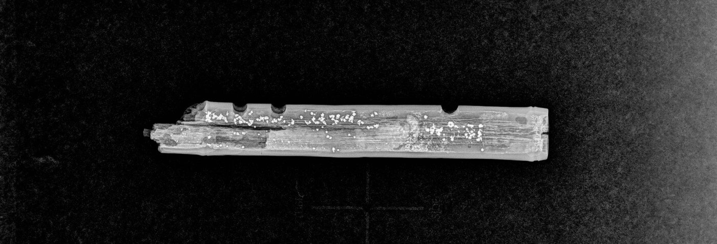 본문 이미지 - 횡적 X-ray 사진(국가유산청 제공)