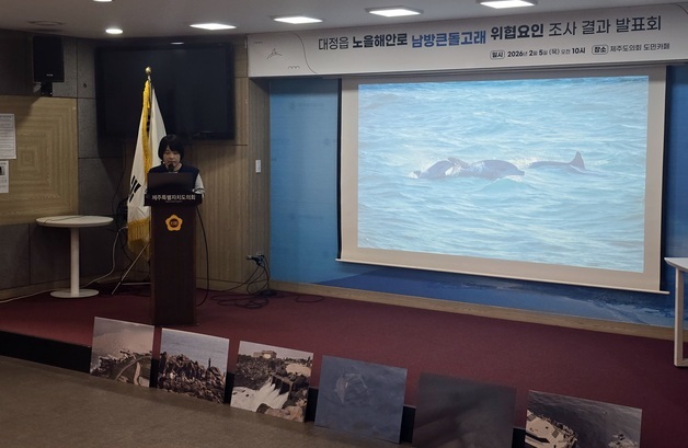 낚싯줄에 걸리고 선박에 시달리고…위협받는 제주남방큰돌고래