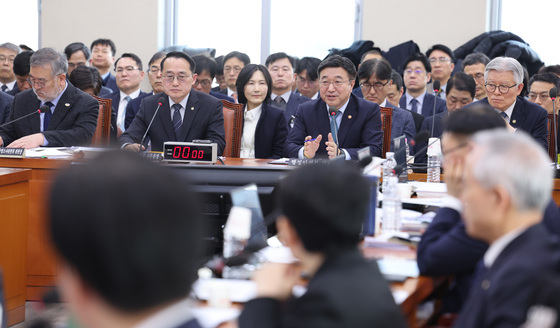 충남대전·전남광주·대구경북 통합 특별법, 행안위 심사 돌입