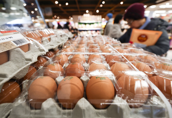 "달걀 살모넬라균 효과적으로 살균하려면…'이것' 확인"