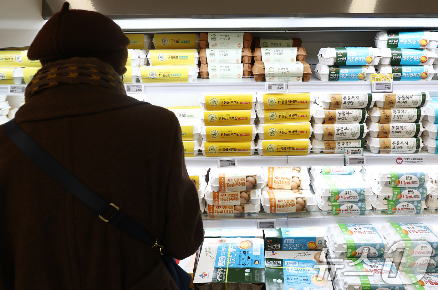 (서울=뉴스1) 김민지 기자 = 공정거래위원회가 계란 가격을 담합 의혹을 받는 대한산란계협회에 공정거래법 위반 행위에 대한 제재 의견을 담은 심사보고서를 발송한 가운데 5일 오후 …