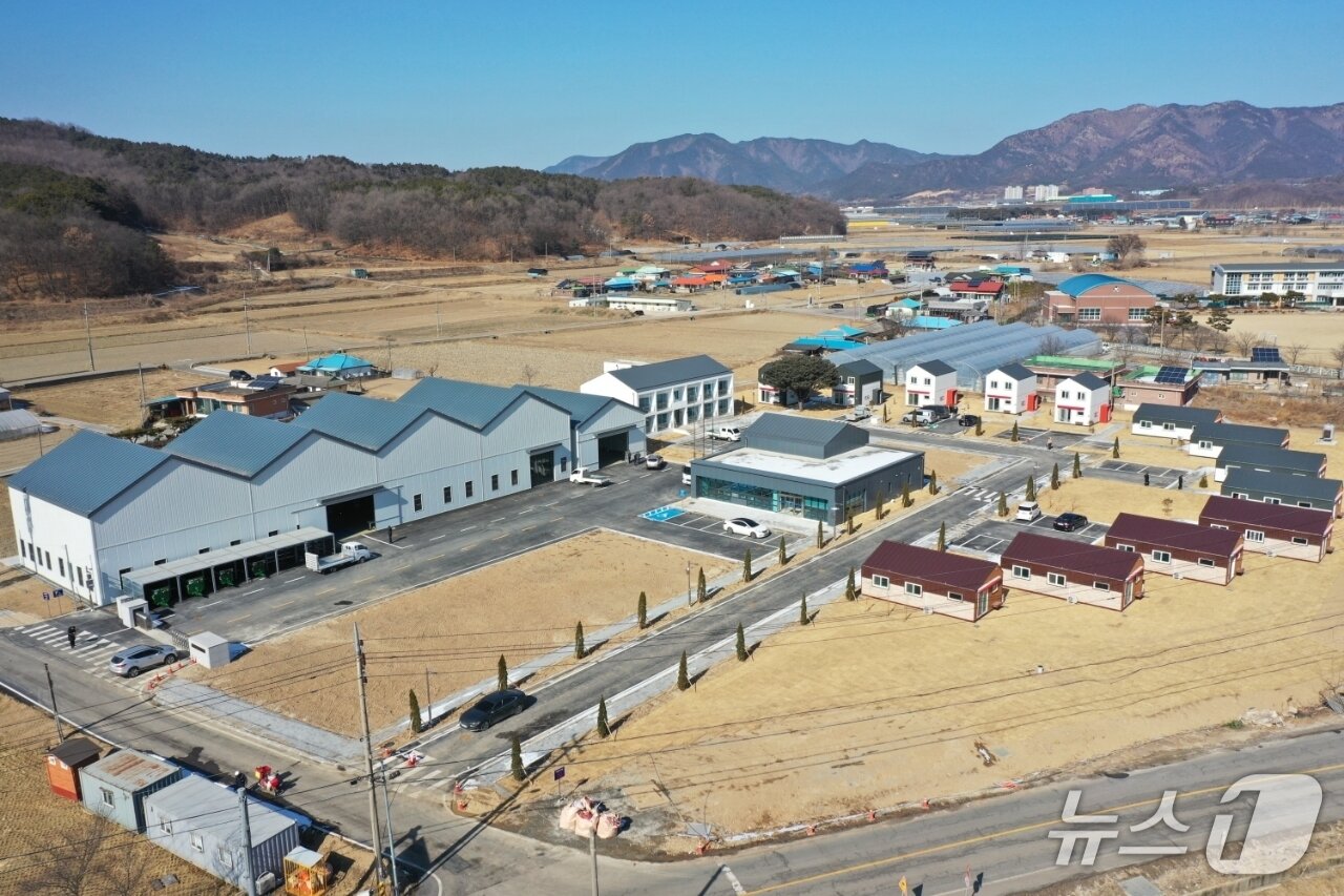 본문 이미지 - 보은군 농업경영 융복합지원센터 (보은군 제공. 재판매 및 DB금지) /뉴스1 
