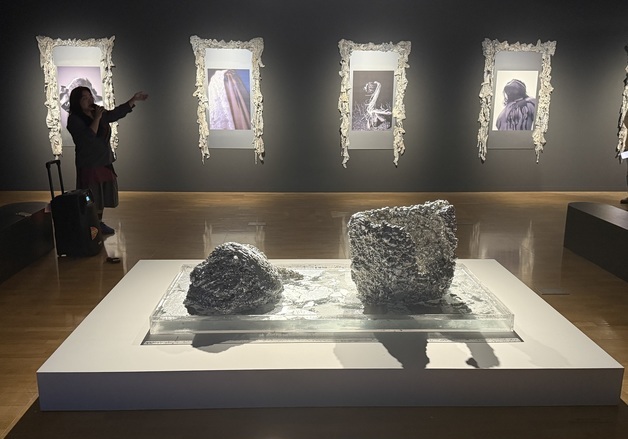 아시아 신진 작가들 시선 'ACC NEXT'…16점 선보여