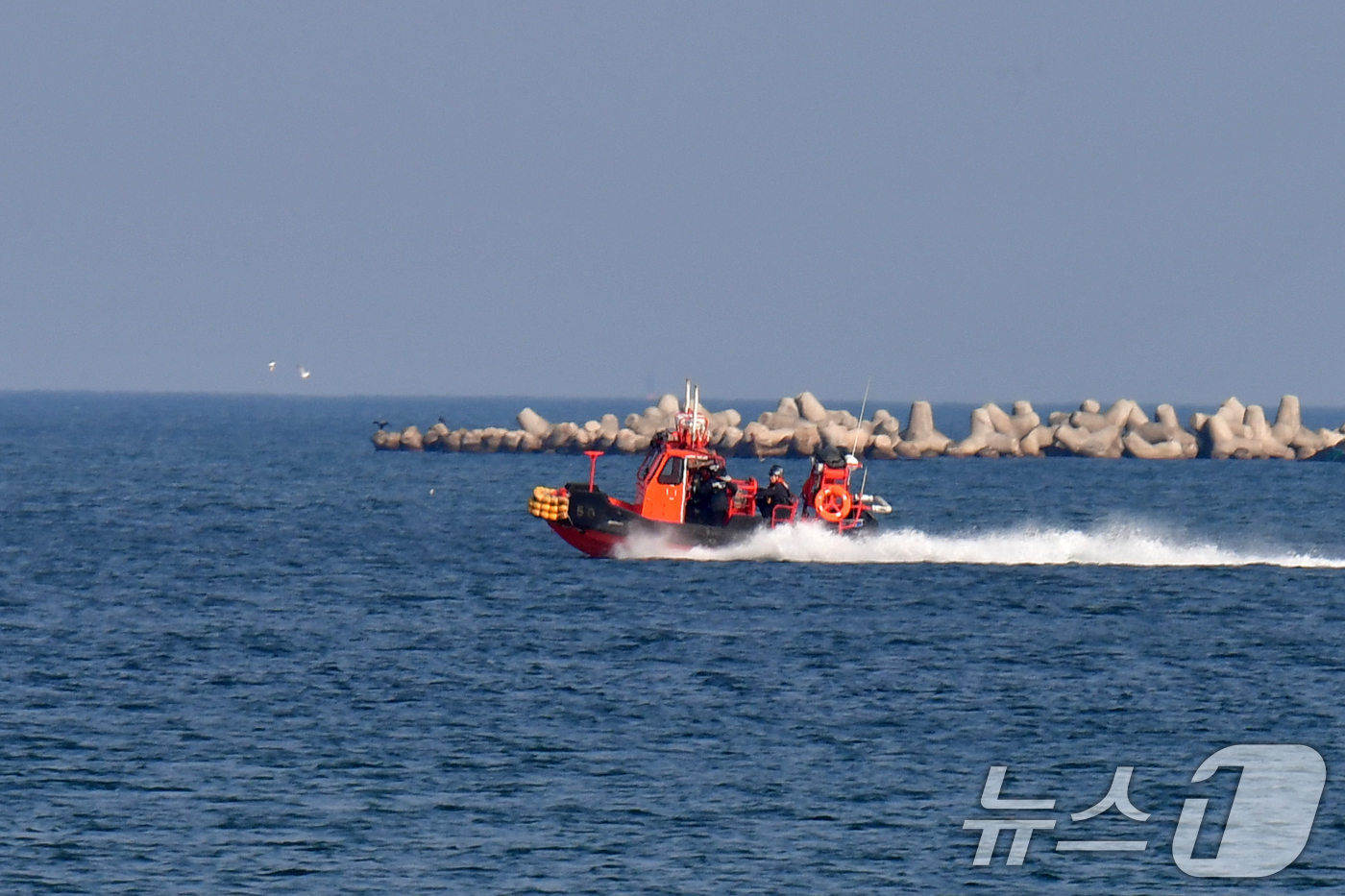 (포항=뉴스1) 최창호 기자 = 5일 경북 포항해양경찰서 구조대원들이 송도해수욕장 앞 바다에서 출동 훈련을 하고 있다. 2026.2.5/뉴스1