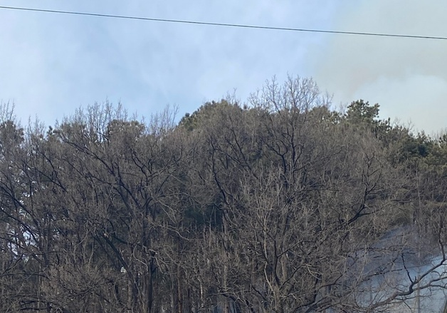 전북 완주군 비봉면 인근 산불…1시간여 만에 주불 진화