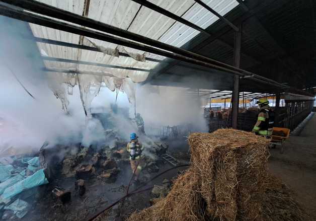 홍천 남면 축사 화재 3시간 만에 진화…볏짚 15톤 태워