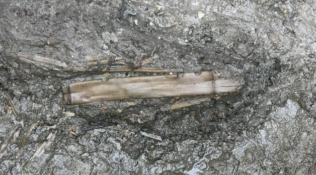 1500년 만에 출토, 3D스캔 복원…백제 피리 부여에서 울려퍼졌다