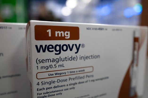 "첫달 7만원" 알약 위고비 복제약 30% 싸다…노보노 "그건 가짜, 소송"