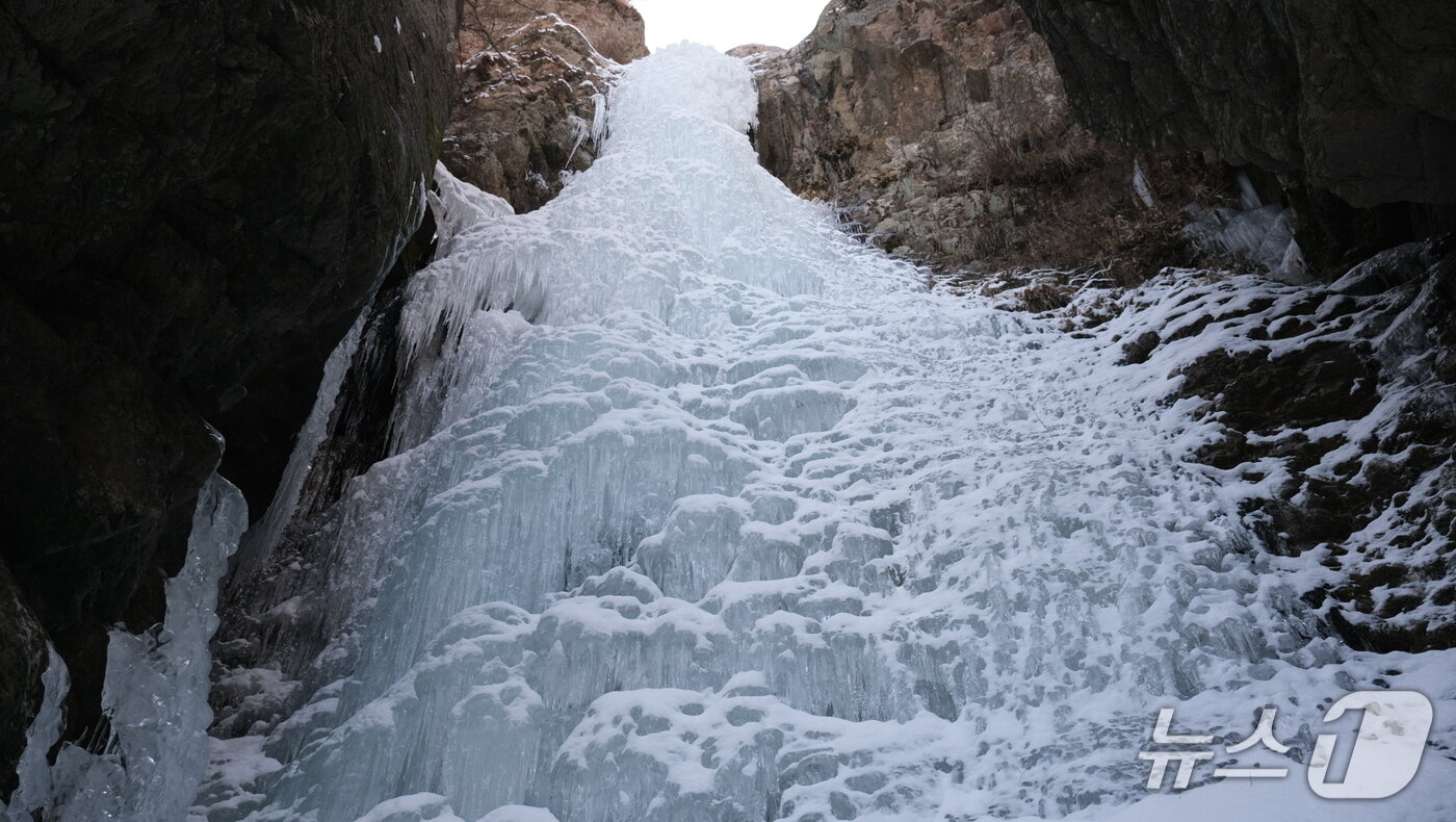 본문 이미지 - 충북 영동군 심천면에 위치한 옥계폭포가 연일 이어진 한파로 얼어 붙었다. (영동군 제공. 재판매 및 DB금지)  